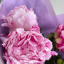3 розовых пиона фото 4