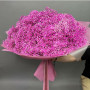 Букет из 51 розовой гипсофилы